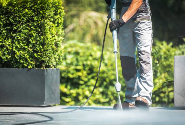 Best Driveway Pressure Washing  in Kingston Estates, NJ
