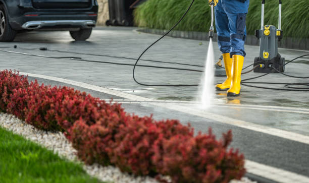 Best Gutter Cleaning  in Kingston Estates, NJ